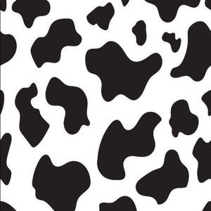 Meet your Posher, Ella